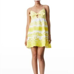 Alice + Olivia Melvina Tie-Front Babydoll Dress